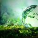 Combatir el “greenwashing” con sistemas de verificación y transparencia