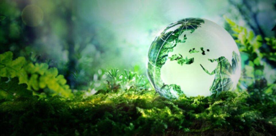 Combatir el “greenwashing” con sistemas de verificación y transparencia